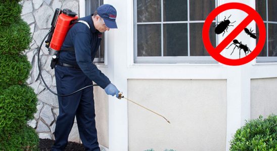 Bingöl Bit İlaçlama böcek ilaçlama ve haşere kontrolü — ilaclama-tr.com